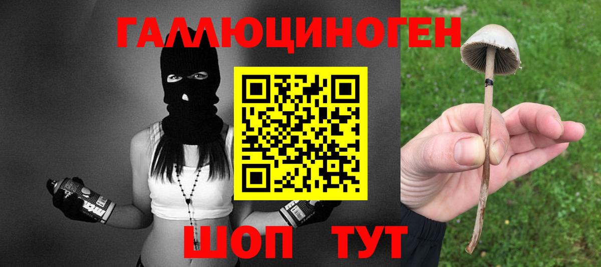 Псилоцибиновые грибы Magic Shrooms  Вход с VPN  Звенигород 